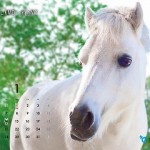 ND_calendar_1_ol_400_400