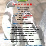 ｱﾙﾊﾞｲﾄ募集