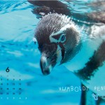 ND_calendar_6_ol_1024_768