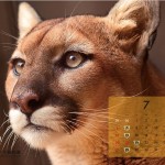 ND_calendar_7_ol_1024_768