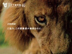 夏の動物園まつり_1024_768