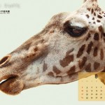 ND_calendar_8_ol_1280_1024