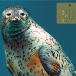 ND_calendar_9_ol_1280_1024