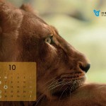 ND_calendar_10_ol_1024_768