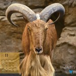 ND_calendar_11_ol_1280_1024