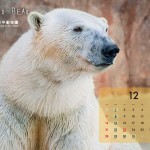 ND_calendar_12_ol_1024_768