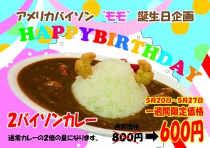 バイソンカレー誕生日-01