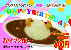 バイソンカレー誕生日H29-01